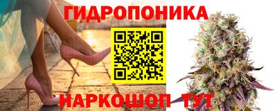 ГАЛЛЮЦИНОГЕННЫЕ ГРИБЫ Дубна