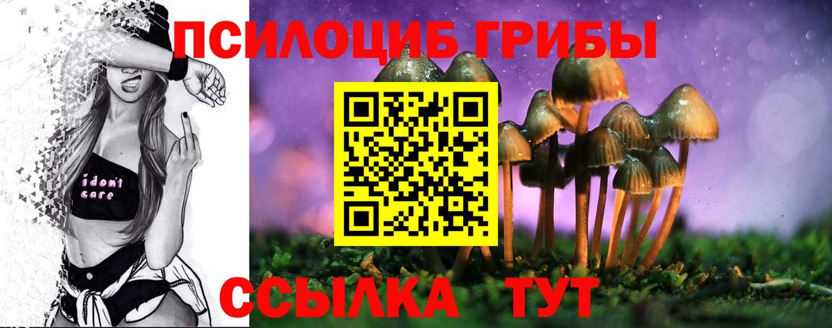 Галлюциногенные грибы мухоморы Мценск