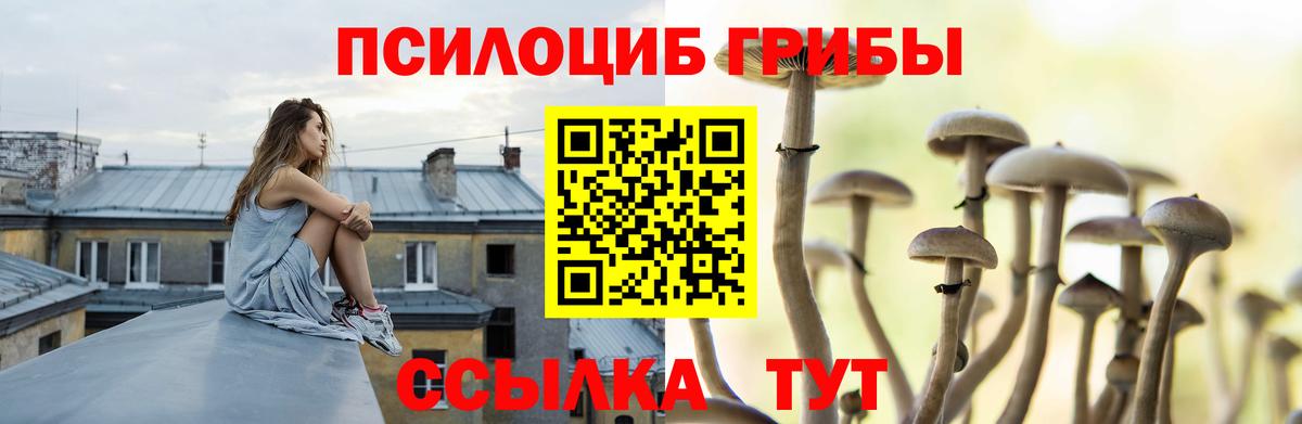 Галлюциногенные грибы Psilocybine cubensis  Вход с VPN  Мценск 